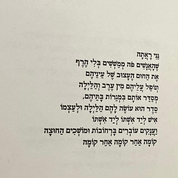 נני ראתה/ אגי משעול